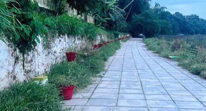 നാലുമണിക്കാറ്റ് മോഡലിൽ നടപ്പാക്കിയ നടപ്പാത പദ്ധതി വെളിച്ചം കണ്ടില്ല ; നടപ്പാത താവളമാക്കി സാമൂഹ്യ വിരുദ്ധര് നാലുമണിക്കാറ്റ് മോഡലിൽ നടപ്പാക്കിയ നടപ്പാത പദ്ധതി വെളിച്ചം കണ്ടില്ല ; നടപ്പാത താവളമാക്കി സാമൂഹ്യ വിരുദ്ധര്