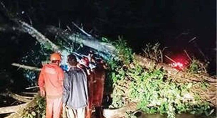 കനത്ത മഴയും കാറ്റും ; കോന്നിയിൽ വീണത് 20 വൈദ്യുതത്തൂൺ കനത്ത മഴയും കാറ്റും ; കോന്നിയിൽ വീണത് 20 വൈദ്യുതത്തൂൺ