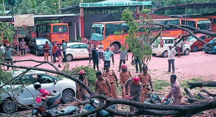 പി എസ് സി പരീക്ഷയ്ക്ക് ഇടയിൽ സ്കൂൾ മുറ്റത്ത് മരം പിഴുത് വീണ് വാഹനങ്ങൾ തകർന്നു പി എസ് സി പരീക്ഷയ്ക്ക് ഇടയിൽ സ്കൂൾ മുറ്റത്ത് മരം പിഴുത് വീണ് വാഹനങ്ങൾ തകർന്നു