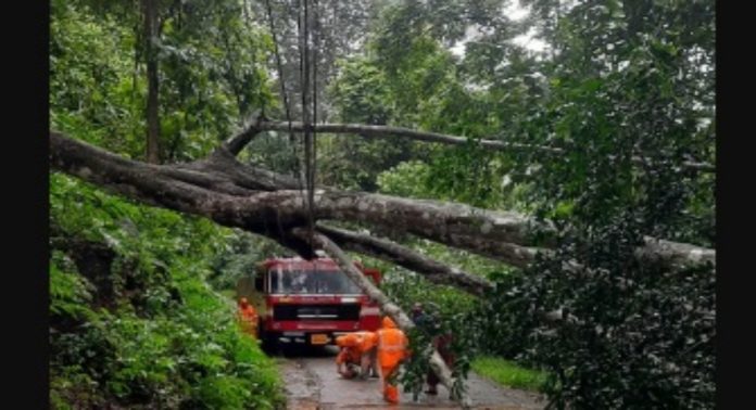 കോന്നിയിൽ കനത്ത മഴയിൽ വ്യാപക നാശനഷ്ടം കോന്നിയിൽ കനത്ത മഴയിൽ വ്യാപക നാശനഷ്ടം