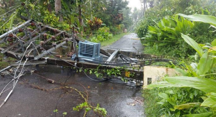 തീവ്രമഴയില് കെഎസ്ഇബിക്ക് വ്യാപക നാശനഷ്ടം ; ആയിരത്തിലേറെ പോസ്റ്റുകള് തകര്ന്നു തീവ്രമഴയില് കെഎസ്ഇബിക്ക് വ്യാപക നാശനഷ്ടം ; ആയിരത്തിലേറെ പോസ്റ്റുകള് തകര്ന്നു