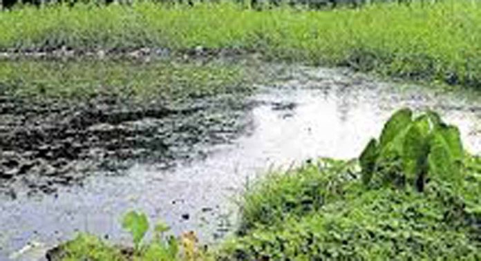 മാലിന്യം കൊണ്ട് നിറഞ്ഞ് കുമ്പഴ വലിയ തോട് മാലിന്യം കൊണ്ട് നിറഞ്ഞ് കുമ്പഴ വലിയ തോട്