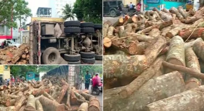 ദേശീയ പാതയിൽ തടി ലോറി മറിഞ്ഞു ; റോഡിൽ തടിക്കഷ്ണങ്ങൾ ; വൈറ്റില ഇടപ്പള്ളി റൂട്ടിൽ ഗതാഗത നിയന്ത്രണം ദേശീയ പാതയിൽ തടി ലോറി മറിഞ്ഞു ; റോഡിൽ തടിക്കഷ്ണങ്ങൾ ; വൈറ്റില ഇടപ്പള്ളി റൂട്ടിൽ ഗതാഗത നിയന്ത്രണം