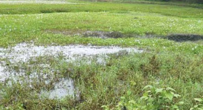 മാവേലിക്കരയിലെ ഗതാഗതക്കുരുക്ക് : ശാശ്വതപരിഹാരം വേണം മാവേലിക്കരയിലെ ഗതാഗതക്കുരുക്ക് : ശാശ്വതപരിഹാരം വേണം