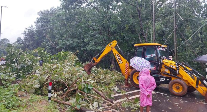 മല്ലപ്പള്ളിയിൽ കാറ്റിലും മഴയിലും വ്യാപക നാശനഷ്ടം മല്ലപ്പള്ളിയിൽ കാറ്റിലും മഴയിലും വ്യാപക നാശനഷ്ടം