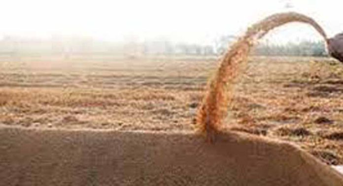 സംഭരിച്ച നെല്ലിന് പണം ലഭിച്ചില്ല ; അപ്പർ കുട്ടനാട്ടിലെ കർഷക സംഘടനകൾ സമരമുഖത്ത് സംഭരിച്ച നെല്ലിന് പണം ലഭിച്ചില്ല ; അപ്പർ കുട്ടനാട്ടിലെ കർഷക സംഘടനകൾ സമരമുഖത്ത്