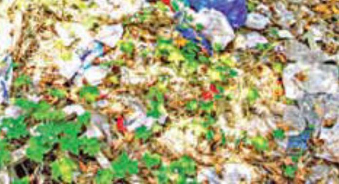 മാലിന്യമുക്ത ആലപ്പുഴ : കർമപദ്ധതി തയ്യാറായി മാലിന്യമുക്ത ആലപ്പുഴ : കർമപദ്ധതി തയ്യാറായി