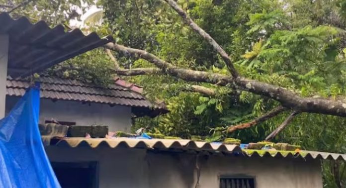 മരം വീണു വീട് തകർന്നു ; ഉറങ്ങിക്കിടന്ന പിഞ്ചുകുട്ടികൾ ഉൾപ്പെടെയുള്ളവർ അത്ഭുതകരമായി രക്ഷപെട്ടു മരം വീണു വീട് തകർന്നു ; ഉറങ്ങിക്കിടന്ന പിഞ്ചുകുട്ടികൾ ഉൾപ്പെടെയുള്ളവർ അത്ഭുതകരമായി രക്ഷപെട്ടു
