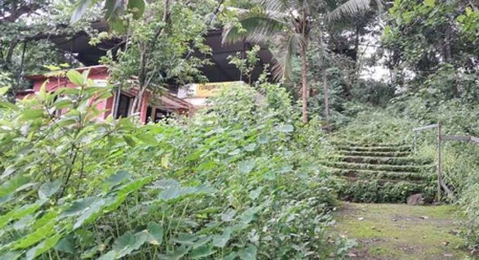 കാടുമൂടിയ അത്തിക്കയം വില്ലേജ് ഓഫീസ് പരിസരം അപകടക്കെണിയാവുന്നു കാടുമൂടിയ അത്തിക്കയം വില്ലേജ് ഓഫീസ് പരിസരം അപകടക്കെണിയാവുന്നു