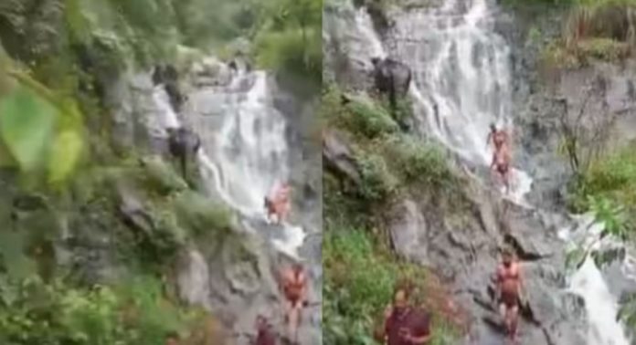 വിലക്കേർപ്പെടുത്തിയിട്ടും വെള്ളച്ചാട്ടത്തിൽ കുളിക്കാനിറങ്ങിയ വിനോദസഞ്ചാരികൾക്ക് ശിക്ഷയുമായി കർണാടക പോലീസ് വിലക്കേർപ്പെടുത്തിയിട്ടും വെള്ളച്ചാട്ടത്തിൽ കുളിക്കാനിറങ്ങിയ വിനോദസഞ്ചാരികൾക്ക് ശിക്ഷയുമായി കർണാടക പോലീസ്