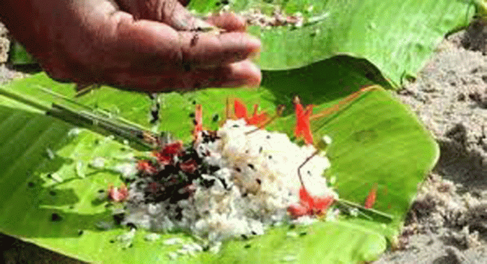 കര്ക്കടക വാവു ബലി തര്പ്പണത്തിന് വിപുലമായ ക്രമീകരണങ്ങള് ഒരുക്കി അയിരൂര് ചെറുകോല്പ്പുഴ ഹിന്ദുമത മഹാമണ്ഡലം കര്ക്കടക വാവു ബലി തര്പ്പണത്തിന് വിപുലമായ ക്രമീകരണങ്ങള് ഒരുക്കി അയിരൂര് ചെറുകോല്പ്പുഴ ഹിന്ദുമത മഹാമണ്ഡലം