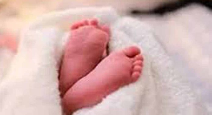 കാക്കനാട് 17 വയസുകാരി പ്രസവിച്ചു കാക്കനാട് 17 വയസുകാരി പ്രസവിച്ചു