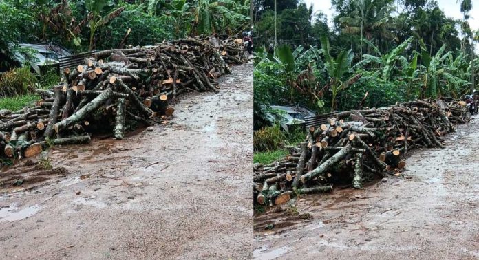 ഇടക്കുളം- അപ്പിമുക്ക് തിരുവാഭരണ പാതയിൽ റോഡ് തകര്ച്ച നേരിടുന്നതായി ആരോപണം ഇടക്കുളം- അപ്പിമുക്ക് തിരുവാഭരണ പാതയിൽ റോഡ് തകര്ച്ച നേരിടുന്നതായി ആരോപണം
