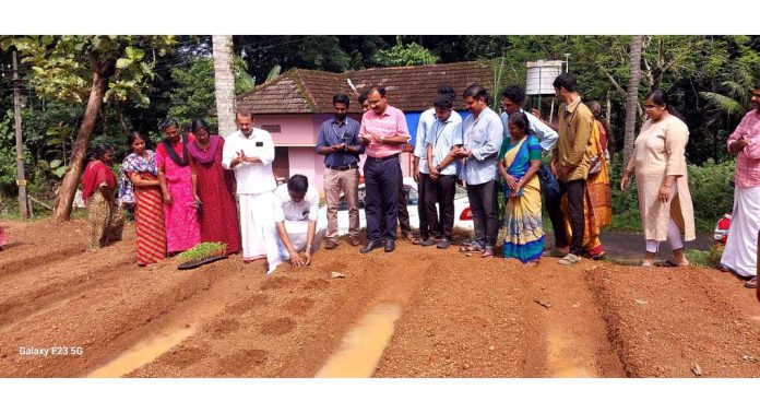 ചെന്നീർക്കര ഗ്രാമപഞ്ചായത്ത് ഹരിത സമ്യദി വാർഡ് പ്രഖ്യാപനം ; ബന്ദി പൂവ് കൃഷി നടീൽ ഉദ്ഘാടനം നടന്നു ചെന്നീർക്കര ഗ്രാമപഞ്ചായത്ത് ഹരിത സമ്യദി വാർഡ് പ്രഖ്യാപനം ; ബന്ദി പൂവ് കൃഷി നടീൽ ഉദ്ഘാടനം നടന്നു