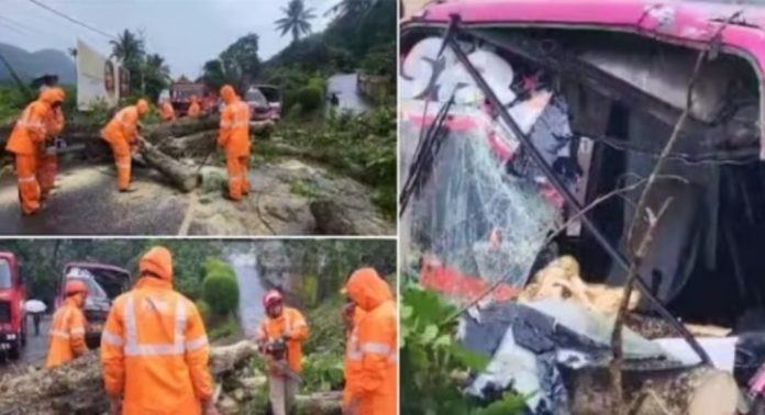 ഓടിക്കൊണ്ടിരിക്കെ ബസിന് മുകളിലേക്ക് റോഡിന് സമീപത്തെ വൻ മരം മുറിഞ്ഞു വീണു ; ഒരാൾക്ക് പരിക്ക് ഓടിക്കൊണ്ടിരിക്കെ ബസിന് മുകളിലേക്ക് റോഡിന് സമീപത്തെ വൻ മരം മുറിഞ്ഞു വീണു ; ഒരാൾക്ക് പരിക്ക്