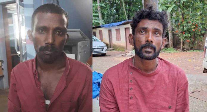 റാന്നിയിൽ രാത്രിയില് വീടു കയറി മദ്യവും സ്വര്ണ്ണവും കവര്ന്ന കേസിൽ രണ്ടു പ്രതികള് പിടിയില് റാന്നിയിൽ രാത്രിയില് വീടു കയറി മദ്യവും സ്വര്ണ്ണവും കവര്ന്ന കേസിൽ രണ്ടു പ്രതികള് പിടിയില്