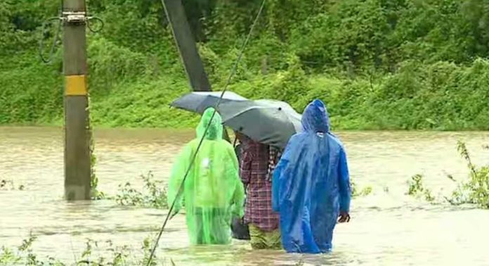 വയനാട്ടിൽ അതിശക്തമായ മഴ ; അഡ്വഞ്ചര് പാര്ക്കുകള് ട്രക്കിങ് പ്രവര്ത്തനങ്ങള് നിരോധിച്ച് ജില്ലാ കളക്ടർ വയനാട്ടിൽ അതിശക്തമായ മഴ ; അഡ്വഞ്ചര് പാര്ക്കുകള് ട്രക്കിങ് പ്രവര്ത്തനങ്ങള് നിരോധിച്ച് ജില്ലാ കളക്ടർ