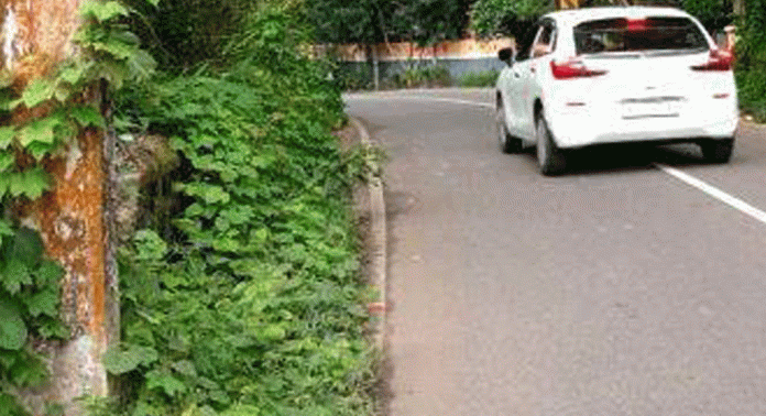 കോട്ടാങ്ങൽ -ചാലപ്പള്ളി ബാസ്റ്റോ റോഡിലെ ഇടുങ്ങിയ കലുങ്കുകൾ അപകടക്കെണിയാകുന്നു കോട്ടാങ്ങൽ -ചാലപ്പള്ളി ബാസ്റ്റോ റോഡിലെ ഇടുങ്ങിയ കലുങ്കുകൾ അപകടക്കെണിയാകുന്നു