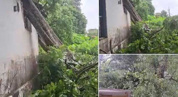 കോട്ടയത്തും മഴക്കെടുതി രൂക്ഷം ; ജില്ലാ ആശുപത്രിയുടെ മോർച്ചറി കെട്ടിടത്തിന് മുകളിൽ മരം വീണു കോട്ടയത്തും മഴക്കെടുതി രൂക്ഷം ; ജില്ലാ ആശുപത്രിയുടെ മോർച്ചറി കെട്ടിടത്തിന് മുകളിൽ മരം വീണു