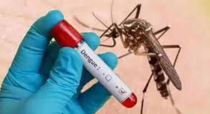 തിരുവനന്തപുരത്ത് എലിപ്പനി ബാധിച്ച് ഒരു മരണം തിരുവനന്തപുരത്ത് എലിപ്പനി ബാധിച്ച് ഒരു മരണം