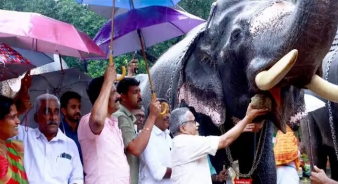 ദേവദാസിന് ചോറുരുള നല്കി ഉദ്ഘാടനം ; ഗുരുവായൂര് ആനക്കോട്ടയിലെ ആനകള്ക്ക് ഇനി ഒരു മാസം സുഖചികിത്സ ദേവദാസിന് ചോറുരുള നല്കി ഉദ്ഘാടനം ; ഗുരുവായൂര് ആനക്കോട്ടയിലെ ആനകള്ക്ക് ഇനി ഒരു മാസം സുഖചികിത്സ