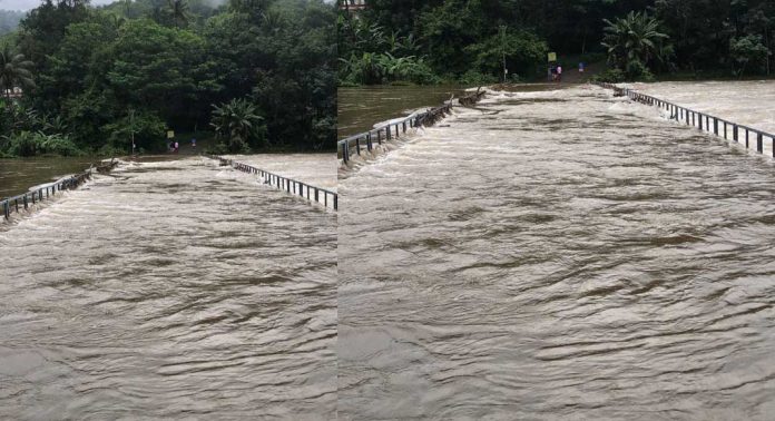 പമ്പാനദിയിൽ ക്രമാതീതമായി വെള്ളമുയർന്നു പമ്പാനദിയിൽ ക്രമാതീതമായി വെള്ളമുയർന്നു
