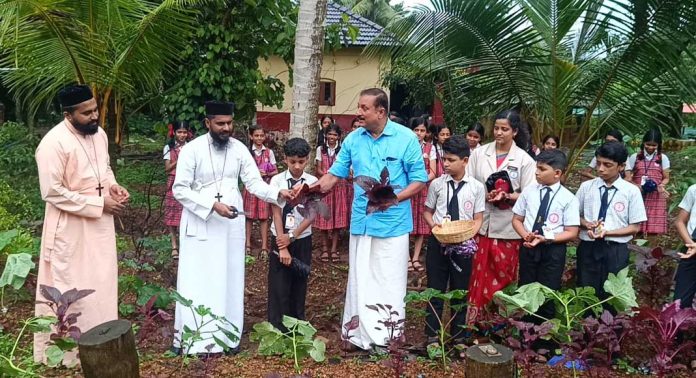 വിളവെടുപ്പിന്റെ സന്തോഷത്തിൽ കുട്ടികർഷകർ വിളവെടുപ്പിന്റെ സന്തോഷത്തിൽ കുട്ടികർഷകർ