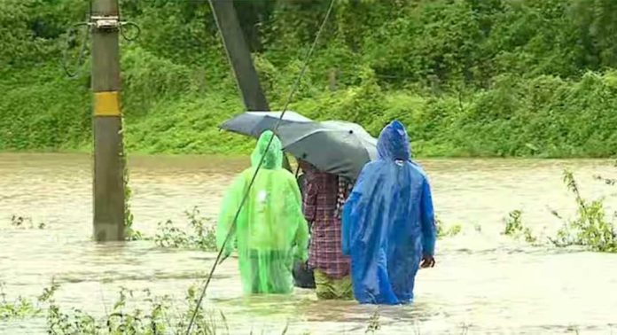 മഴ തുടരുന്നു, ആറാഴ്ച ഹോട്സ്പോട്ടുകള് കേന്ദ്രീകരിച്ച് പ്രവര്ത്തനം തുടരണം ; നിര്ദേശവുമായി ആരോഗ്യവകുപ്പ് മഴ തുടരുന്നു, ആറാഴ്ച ഹോട്സ്പോട്ടുകള് കേന്ദ്രീകരിച്ച് പ്രവര്ത്തനം തുടരണം ; നിര്ദേശവുമായി ആരോഗ്യവകുപ്പ്