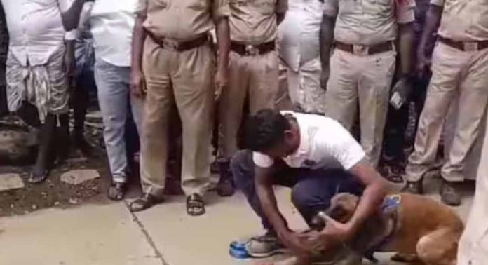 എട്ടുവയസ്സുകാരിയെ കാണാതായി, പ്രതികളെ മണത്തറിഞ്ഞ് പോലീസ് നായ എട്ടുവയസ്സുകാരിയെ കാണാതായി, പ്രതികളെ മണത്തറിഞ്ഞ് പോലീസ് നായ