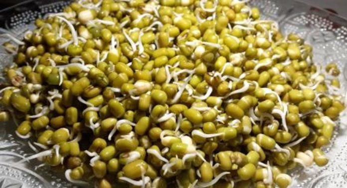 മുളപ്പിച്ച പയർവർഗങ്ങൾ കഴിക്കൂ ; ആരോഗ്യഗുണങ്ങൾ അറിയാം… മുളപ്പിച്ച പയർവർഗങ്ങൾ കഴിക്കൂ ; ആരോഗ്യഗുണങ്ങൾ അറിയാം…