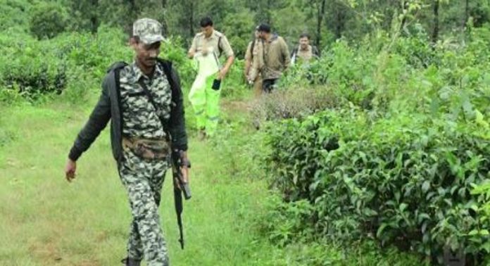 മക്കിമലയിൽ കുഴി ബോംബ് കണ്ടെത്തിയ സംഭവം ; തീവ്ര പരിശോധനയുമായി പോലീസ് മക്കിമലയിൽ കുഴി ബോംബ് കണ്ടെത്തിയ സംഭവം ; തീവ്ര പരിശോധനയുമായി പോലീസ്