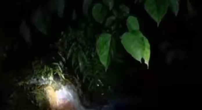 പെരിയാറില് വീണ്ടും രാസമാലിന്യം ; പൊതുമേഖല സ്ഥാപനമായ ടിസിസി പുഴയിലേക്ക് മാലിന്യം ഒഴുക്കിയതായി പരാതി പെരിയാറില് വീണ്ടും രാസമാലിന്യം ; പൊതുമേഖല സ്ഥാപനമായ ടിസിസി പുഴയിലേക്ക് മാലിന്യം ഒഴുക്കിയതായി പരാതി