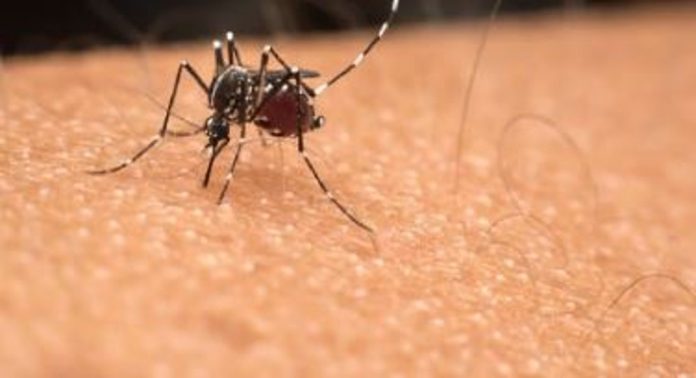 മലപ്പുറത്ത് നാല് പേർക്ക് മലമ്പനി സ്ഥിരീകരിച്ചു ; ജാഗ്രത മുന്നറിയിപ്പ് നൽകി അധികൃതർ മലപ്പുറത്ത് നാല് പേർക്ക് മലമ്പനി സ്ഥിരീകരിച്ചു ; ജാഗ്രത മുന്നറിയിപ്പ് നൽകി അധികൃതർ