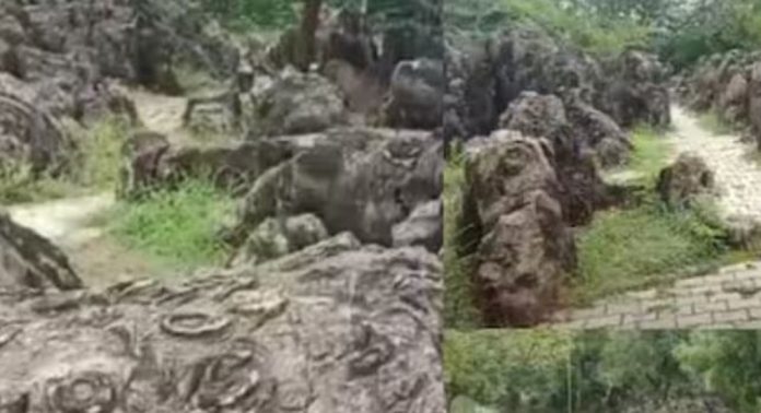 ലോക പൈതൃക പട്ടികയിൽ ഇടം പിടിക്കാൻ ഒരുങ്ങി സല്ഖാന് ഫോസില് പാര്ക്ക് ലോക പൈതൃക പട്ടികയിൽ ഇടം പിടിക്കാൻ ഒരുങ്ങി സല്ഖാന് ഫോസില് പാര്ക്ക്