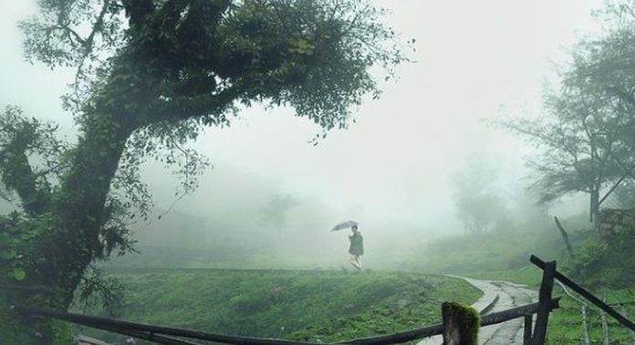മണ്സൂണ് ടൂറിസത്തില് നേട്ടം കൊയ്ത് കര്ണാടക ; സഞ്ചാരികള്ക്ക് ഏറ്റവും പ്രിയം കുടക് മണ്സൂണ് ടൂറിസത്തില് നേട്ടം കൊയ്ത് കര്ണാടക ; സഞ്ചാരികള്ക്ക് ഏറ്റവും പ്രിയം കുടക്