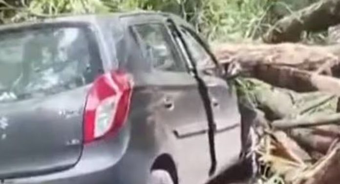 ഓടിക്കൊണ്ടിരുന്ന കാറിന് മുകളിൽ മരംവീണു ; യാത്രക്കാർ അത്ഭുതകരമായി രക്ഷപെട്ടു ഓടിക്കൊണ്ടിരുന്ന കാറിന് മുകളിൽ മരംവീണു ; യാത്രക്കാർ അത്ഭുതകരമായി രക്ഷപെട്ടു