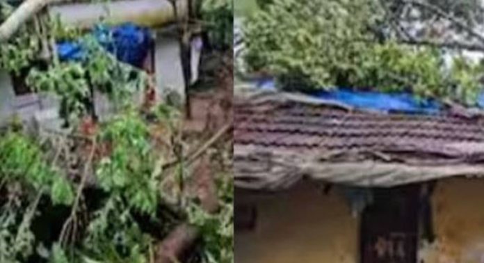 തൃശൂരിൽ ചുഴലിക്കാറ്റ് ; വ്യാപക നാശനഷ്ടം തൃശൂരിൽ ചുഴലിക്കാറ്റ് ; വ്യാപക നാശനഷ്ടം