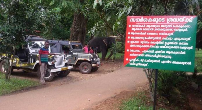 കാടിന്റെ വൈവിധ്യമറിഞ്ഞ് കാട്ടുമൃഗങ്ങളെയും കണ്ടുള്ള കാട്ടാത്തി–ചെളിക്കൽ ജീപ്പ് സഫാരി പുനരാരംഭിക്കാൻ സാധ്യതയേറുന്നു കാടിന്റെ വൈവിധ്യമറിഞ്ഞ് കാട്ടുമൃഗങ്ങളെയും കണ്ടുള്ള കാട്ടാത്തി–ചെളിക്കൽ ജീപ്പ് സഫാരി പുനരാരംഭിക്കാൻ സാധ്യതയേറുന്നു
