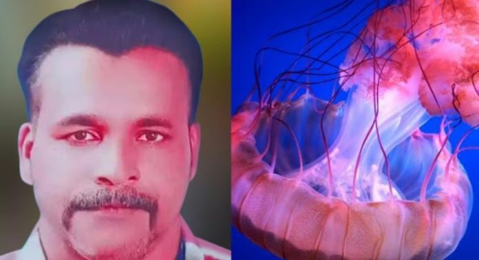 മീൻ പിടിക്കുന്നതിനിടെ ജെല്ലിഫിഷ് കണ്ണിൽ തെറിച്ചു ; അലർജി ബാധിച്ച് ചികിത്സയിലായിരുന്ന മത്സ്യത്തൊഴിലാളി മരിച്ചു മീൻ പിടിക്കുന്നതിനിടെ ജെല്ലിഫിഷ് കണ്ണിൽ തെറിച്ചു ; അലർജി ബാധിച്ച് ചികിത്സയിലായിരുന്ന മത്സ്യത്തൊഴിലാളി മരിച്ചു