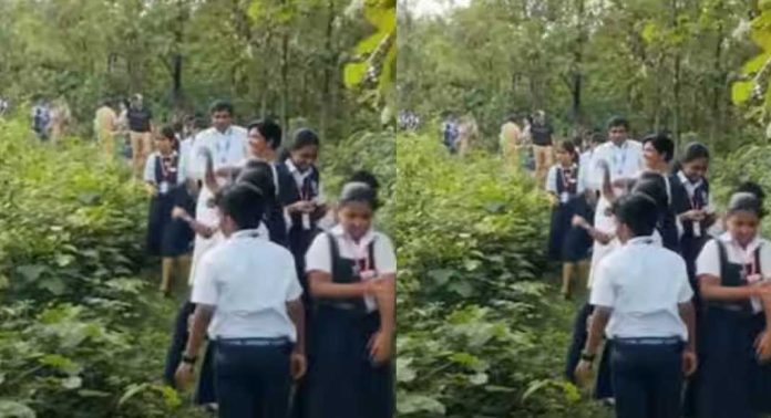 വന സംരക്ഷണത്തിന്റെ ഭാഗമായി കാട്ടിലേക്ക് വിത്തെറിഞ്ഞ് വിദ്യാര്ഥികള് വന സംരക്ഷണത്തിന്റെ ഭാഗമായി കാട്ടിലേക്ക് വിത്തെറിഞ്ഞ് വിദ്യാര്ഥികള്