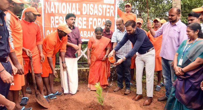 ജില്ലയില് വിവിധ സ്കൂളുകളില് വൃക്ഷതൈകള് വെച്ചുപിടിപ്പിച്ചു ജില്ലയില് വിവിധ സ്കൂളുകളില് വൃക്ഷതൈകള് വെച്ചുപിടിപ്പിച്ചു
