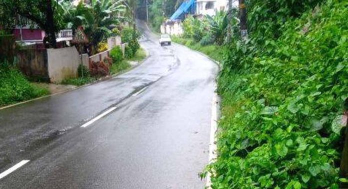 കലഞ്ഞൂർ - ഇളമണ്ണൂർ റോഡിൽ ചക്കിട്ട ഓലിക്കൽ ഏലാ ഭാഗത്ത് ഇഴജന്തുക്കളുടെ ശല്യം രൂക്ഷമാകുന്നു കലഞ്ഞൂർ - ഇളമണ്ണൂർ റോഡിൽ ചക്കിട്ട ഓലിക്കൽ ഏലാ ഭാഗത്ത് ഇഴജന്തുക്കളുടെ ശല്യം രൂക്ഷമാകുന്നു