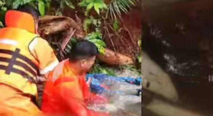 കോഴിക്കോട് ബാലുശേരി കരിയാത്തൻ കാവ് തോട്ടിൽ 55 കാരൻ മുങ്ങിമരിച്ചു കോഴിക്കോട് ബാലുശേരി കരിയാത്തൻ കാവ് തോട്ടിൽ 55 കാരൻ മുങ്ങിമരിച്ചു