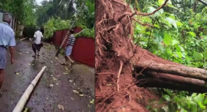 കോഴിക്കോട് കനത്ത നാശം വിതച്ച് മിന്നല് ചുഴലിക്കാറ്റ് ; അഞ്ച് വീടുകള് തകര്ന്നു ; നിരവധി മരങ്ങള് കടപുഴകി വീണു കോഴിക്കോട് കനത്ത നാശം വിതച്ച് മിന്നല് ചുഴലിക്കാറ്റ് ; അഞ്ച് വീടുകള് തകര്ന്നു ; നിരവധി മരങ്ങള് കടപുഴകി വീണു