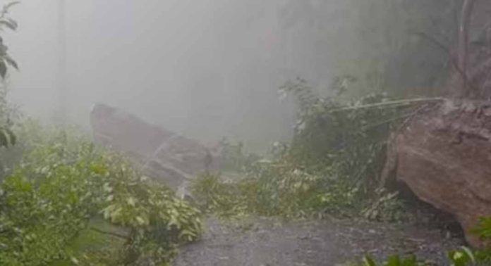 കണ്ണൂരിലെ കൊട്ടിയൂരിൽ നിന്ന് വയനാട്ടിലേക്ക് ചുരമില്ലാ പാതയെന്ന പ്രതീക്ഷ മങ്ങി കണ്ണൂരിലെ കൊട്ടിയൂരിൽ നിന്ന് വയനാട്ടിലേക്ക് ചുരമില്ലാ പാതയെന്ന പ്രതീക്ഷ മങ്ങി