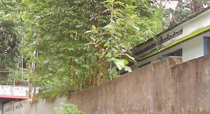 കോട്ടാങ്ങല് എഫ്.എച്ച്.സിയില് ഫാര്മസിസ്റ്റിനെ നിയമിക്കണം കോട്ടാങ്ങല് എഫ്.എച്ച്.സിയില് ഫാര്മസിസ്റ്റിനെ നിയമിക്കണം