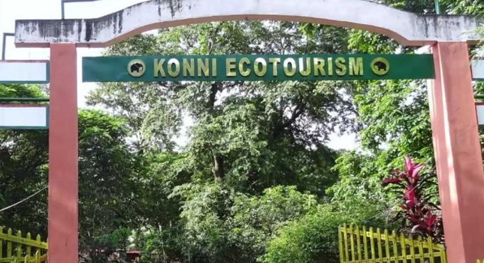 കോന്നി ഇക്കോ ടൂറിസം സെന്ററിൽ പണമിടപാടുകൾ ഇനി ഓൺലൈൻ സംവിധാനം വഴി മാത്രം കോന്നി ഇക്കോ ടൂറിസം സെന്ററിൽ പണമിടപാടുകൾ ഇനി ഓൺലൈൻ സംവിധാനം വഴി മാത്രം