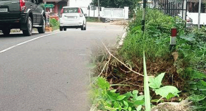 പടുതോട് ചെറിയ പാലത്തിന്റെയും കലുങ്കിന്റെയും സംരക്ഷണ ഭിത്തികൾ തകർന്നു പടുതോട് ചെറിയ പാലത്തിന്റെയും കലുങ്കിന്റെയും സംരക്ഷണ ഭിത്തികൾ തകർന്നു