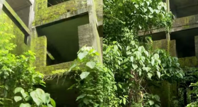 വടക്കാഞ്ചേരി ലൈഫ് മിഷന് ഭവന പദ്ധതി കാടുകയറി നശിച്ചു വടക്കാഞ്ചേരി ലൈഫ് മിഷന് ഭവന പദ്ധതി കാടുകയറി നശിച്ചു