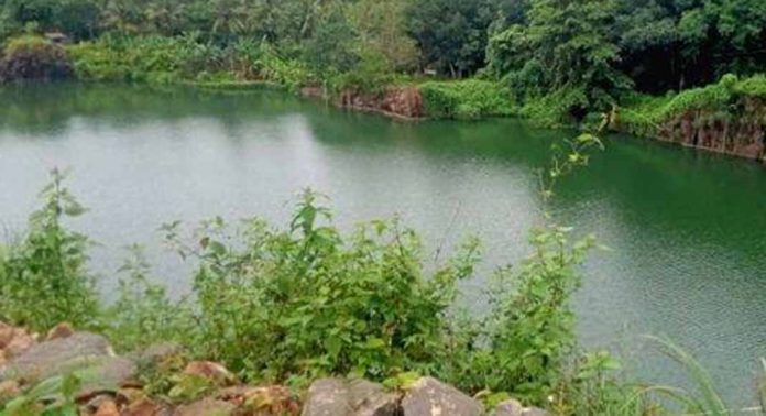 കാട്ടോലി പാറയിലെ കുളത്തിൽ സാമൂഹിക വിരുദ്ധർ മാലിന്യം തള്ളുന്നതായി പരാതി കാട്ടോലി പാറയിലെ കുളത്തിൽ സാമൂഹിക വിരുദ്ധർ മാലിന്യം തള്ളുന്നതായി പരാതി